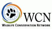 WCN logo